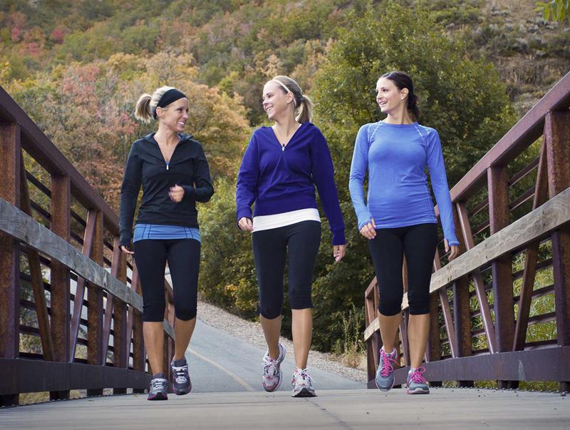 Wellness Coaching